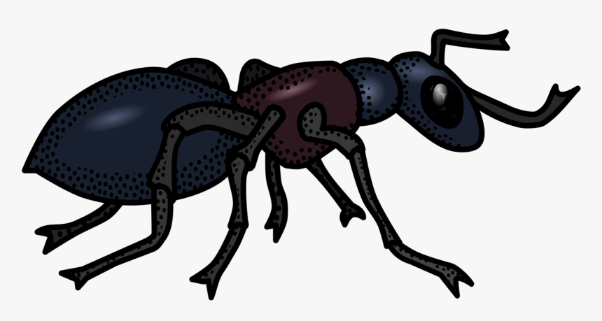 Ant Black And White, HD Png Download