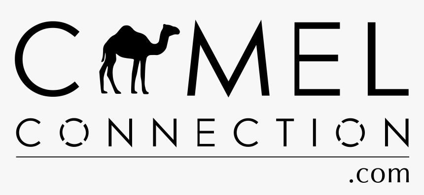 Australian Camels Australian Camels Clipart , Png Download - Arabian Camel, Transparent Png