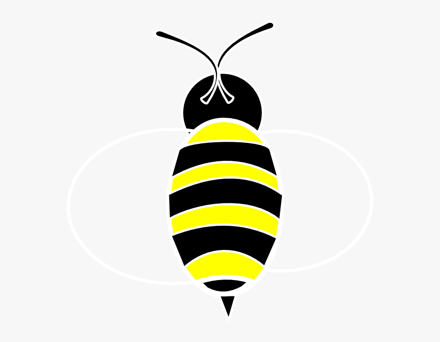 Honeybee, HD Png Download