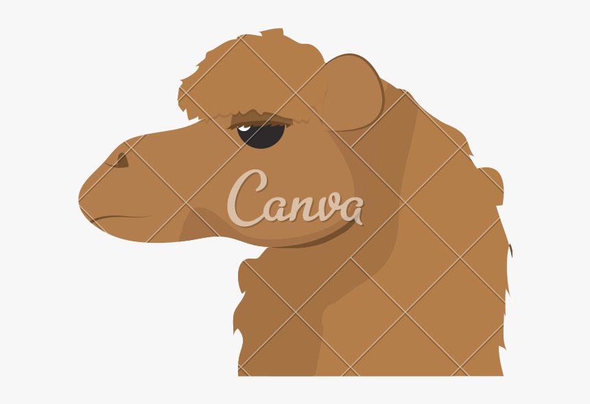 Clip Art Animal To Desert Travel - Camel Clipart Head, HD Png Download
