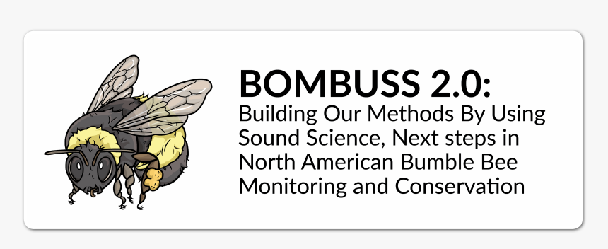 Honeybee, HD Png Download