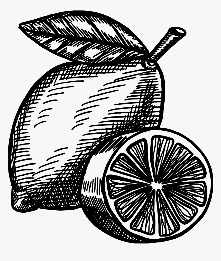 Clip Art, HD Png Download