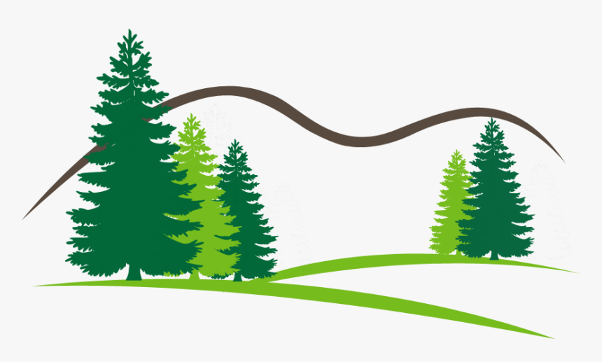 Open Canopy Tree - Vector Pine Tree Png, Transparent Png
