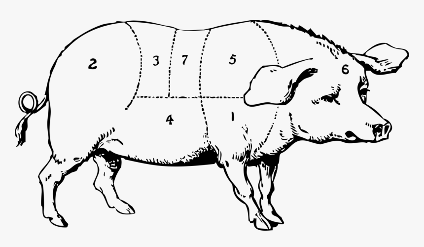 Art,monochrome Photography,carnivoran - Draw And Label A Pig, HD Png Download