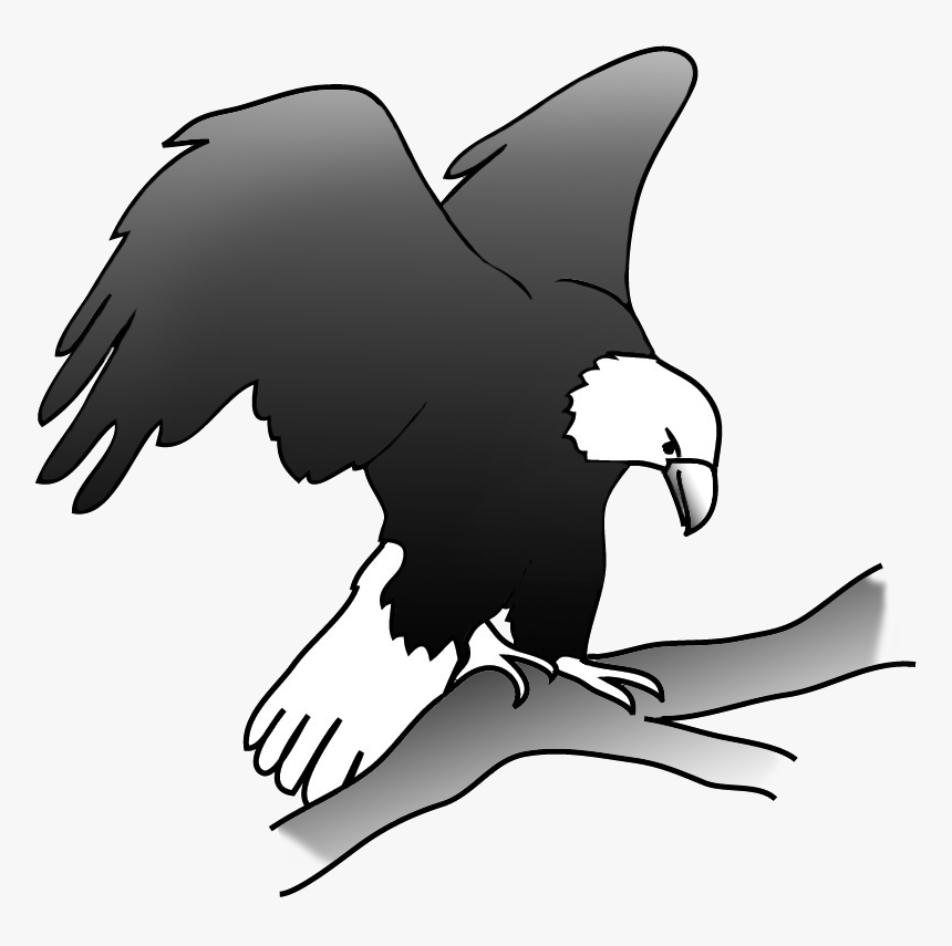 Eagle On A Branch In A Tree - Eagle On Branch Drawing, HD Png Download