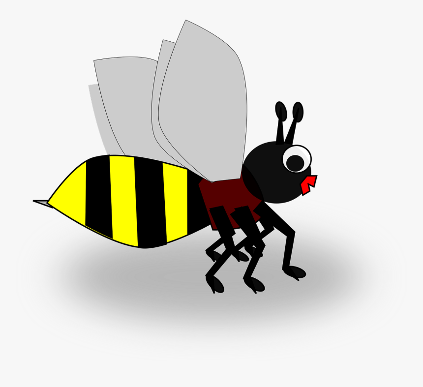 Bee Insect Simple Free Picture - Honey Bee, HD Png Download