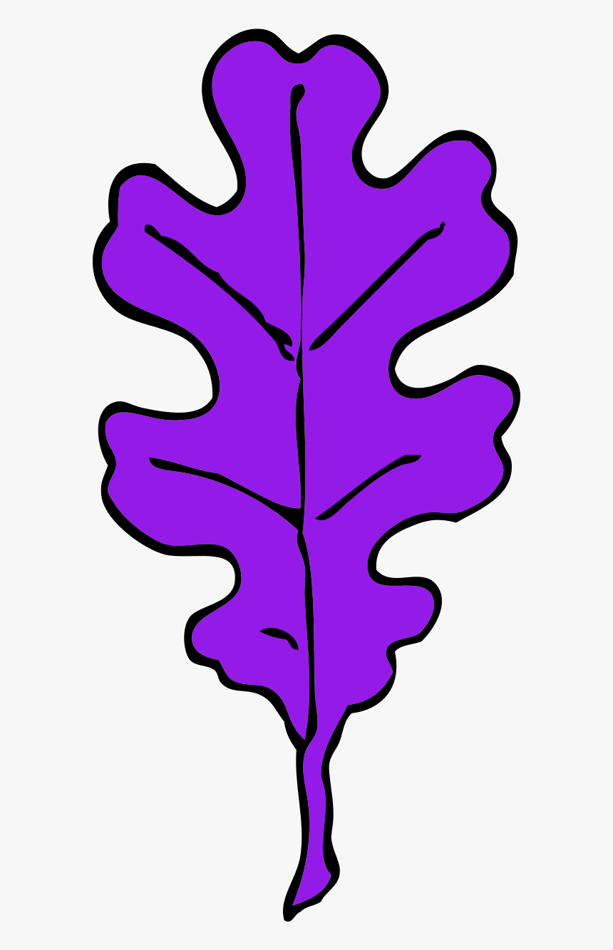 Vector Clip Art - Oak Tree Leaf Clip Art, HD Png Download