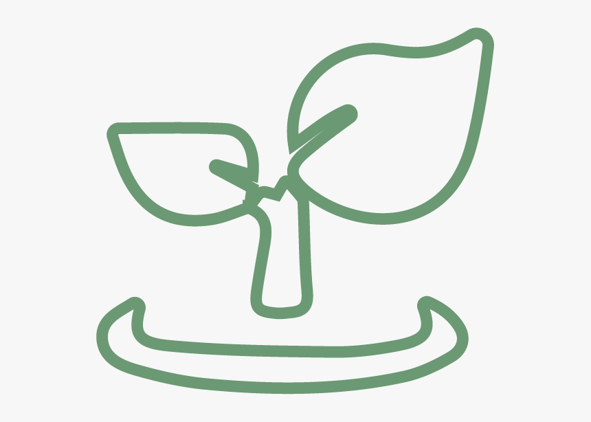 Leaf Outline, HD Png Download