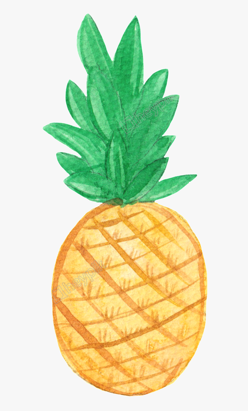 Drawn Pineapple Transparent - Pineapple Hello, HD Png Download