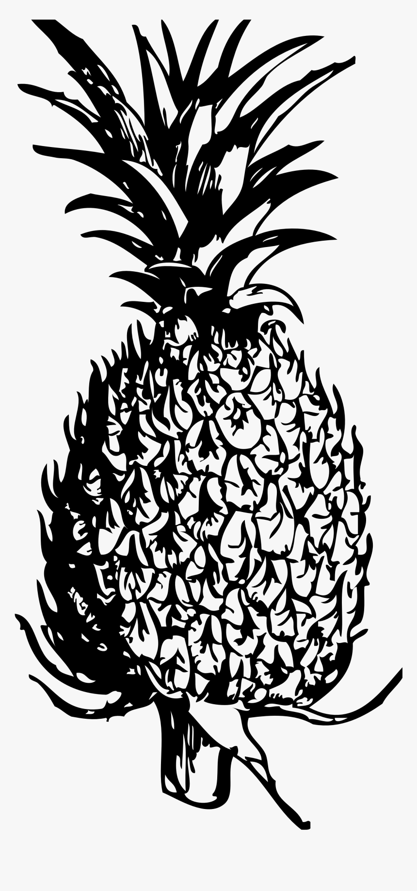 Drawing Pineapple Pine Apple Free Pineapple Clipart - Free Pineapple Clipart Black And White, HD Png Download