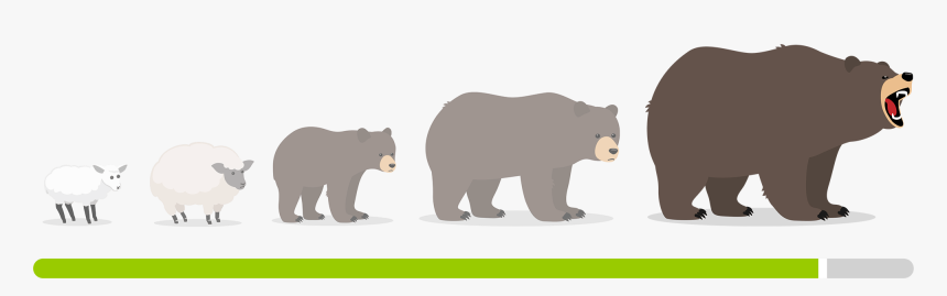 Encrypting Your Passwords In Remembear - Grizzly Bear, HD Png Download