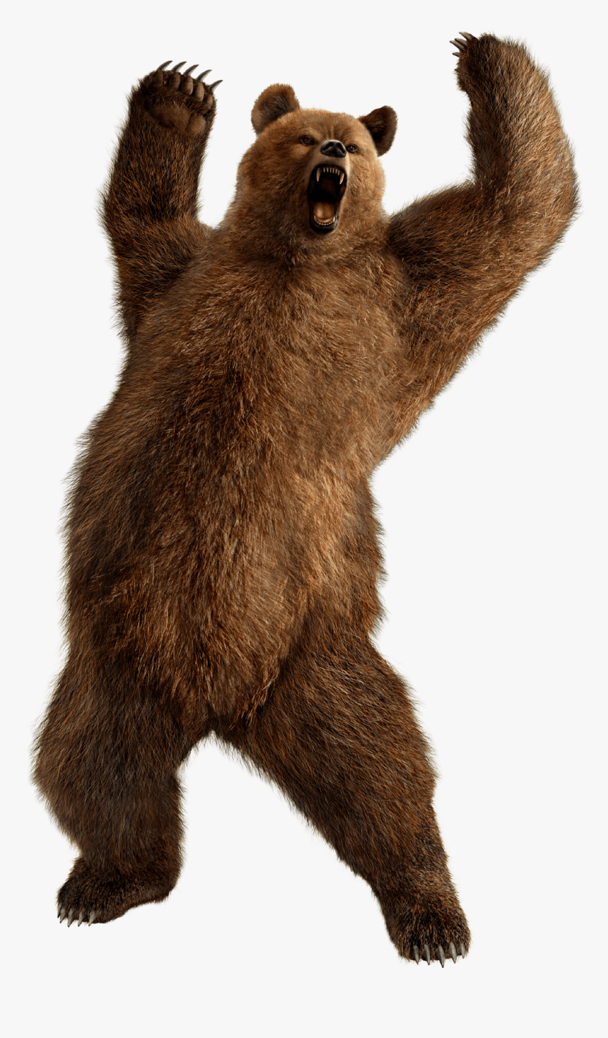 Brown-bear - Kuma Tekken, HD Png Download