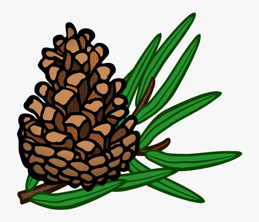 Pine Family,plant,flower - Pinecone Clipart, HD Png Download