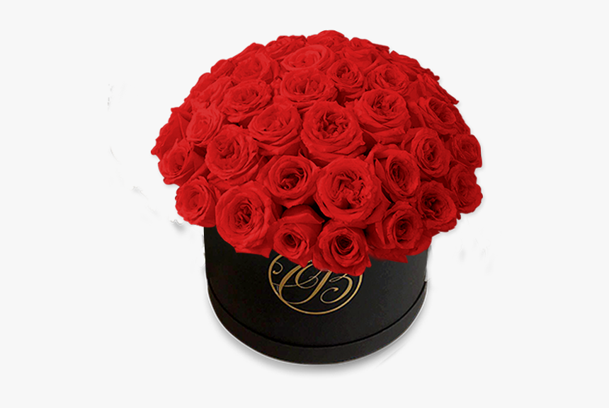 Rosas Rojas Png - Cajas De Rosas Rojas, Transparent Png