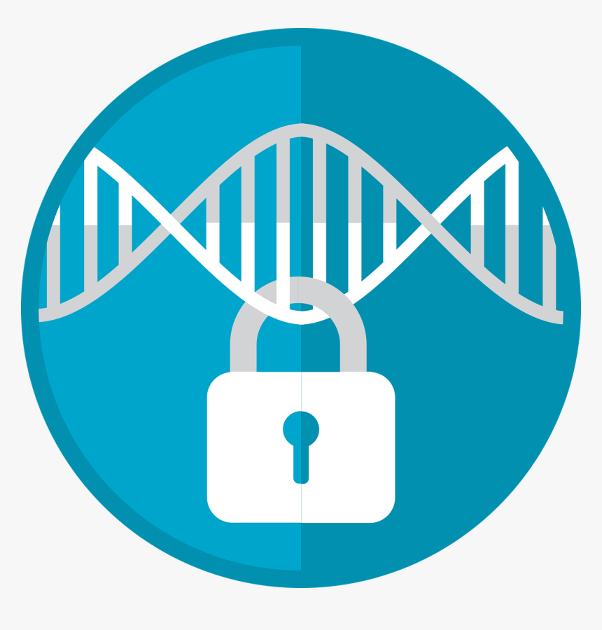 Privacy Of Genomic Data Sharing, HD Png Download