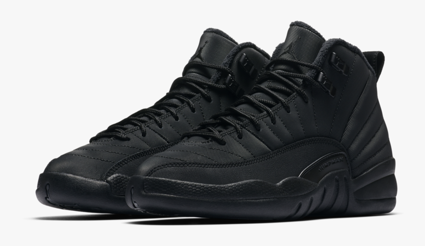 kids jordan 12 black