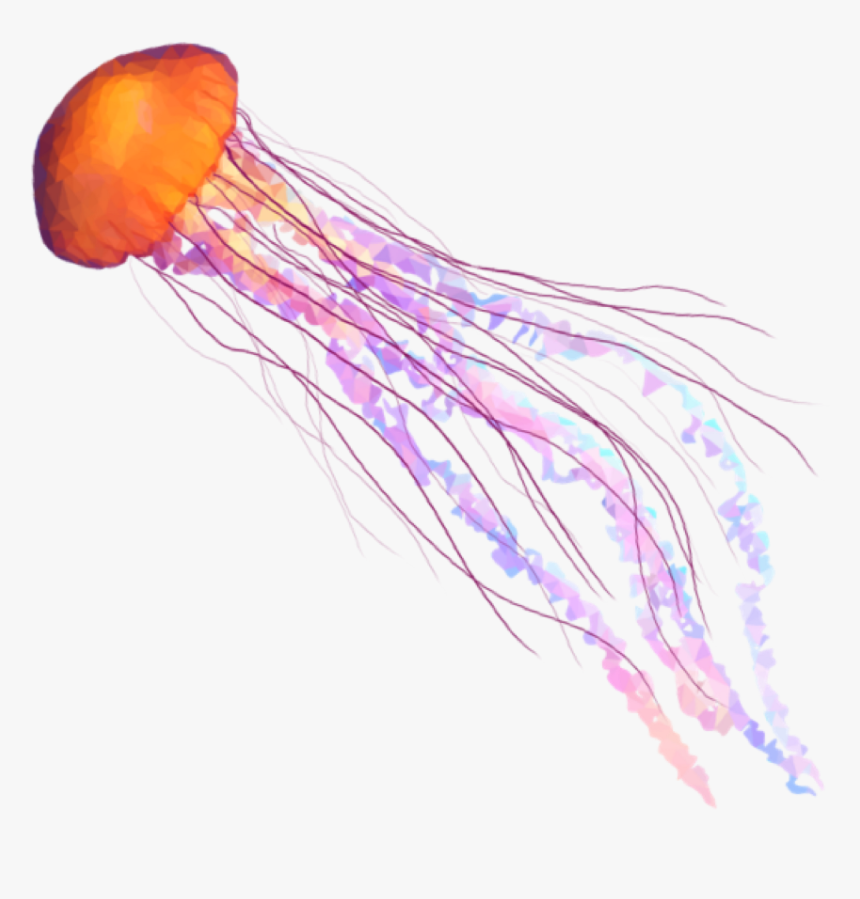 Banner Stock Anime Huge Freebie Download Transparent Background Jellyfish Transparent Hd Png Download Transparent Png Image Pngitem