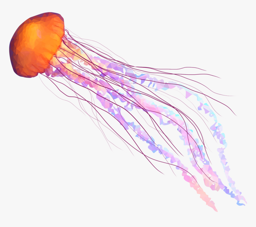 Clip Art Banner Stock Transparent - Jellyfish Png, Png Download