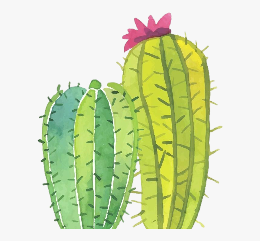 Image - Iphone Cactus Background, HD Png Download