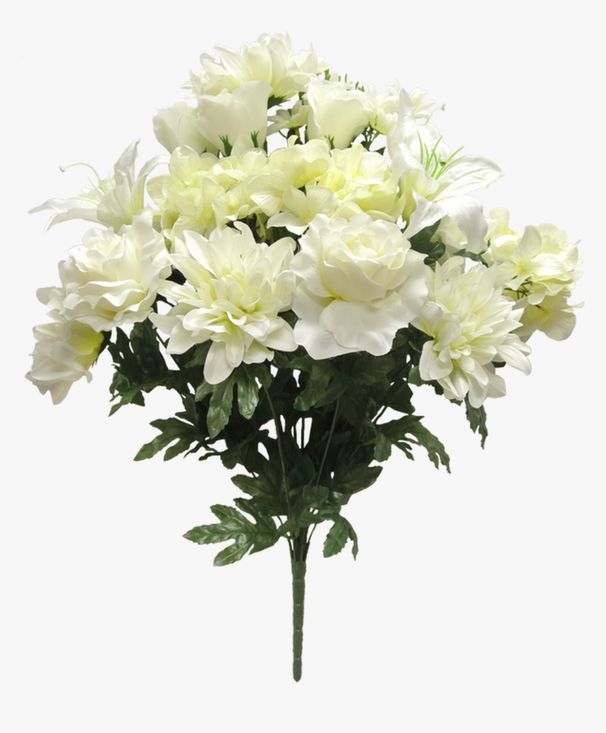 23 - Rosa Rugosa, HD Png Download