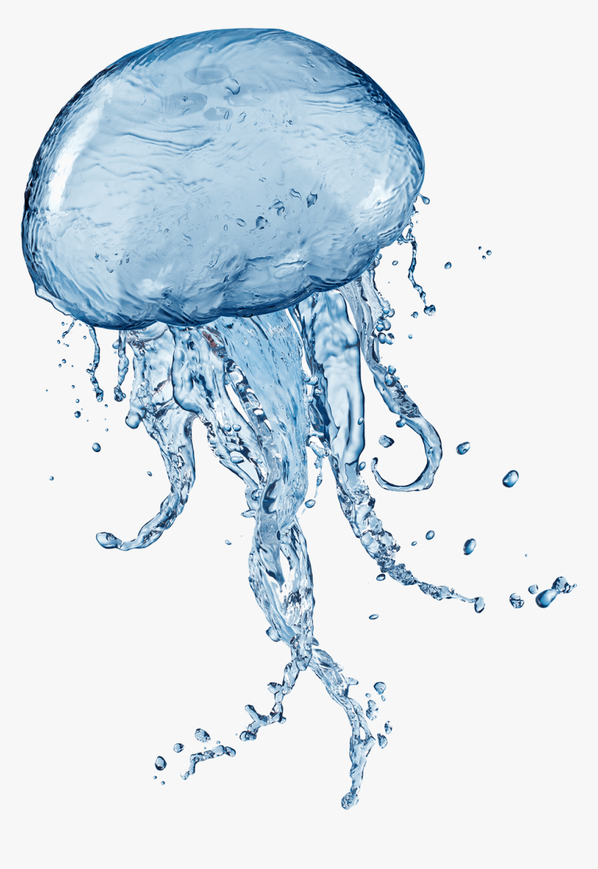 Jellyfish Transparent Images Png - Jellyfish With No Background, Png Download