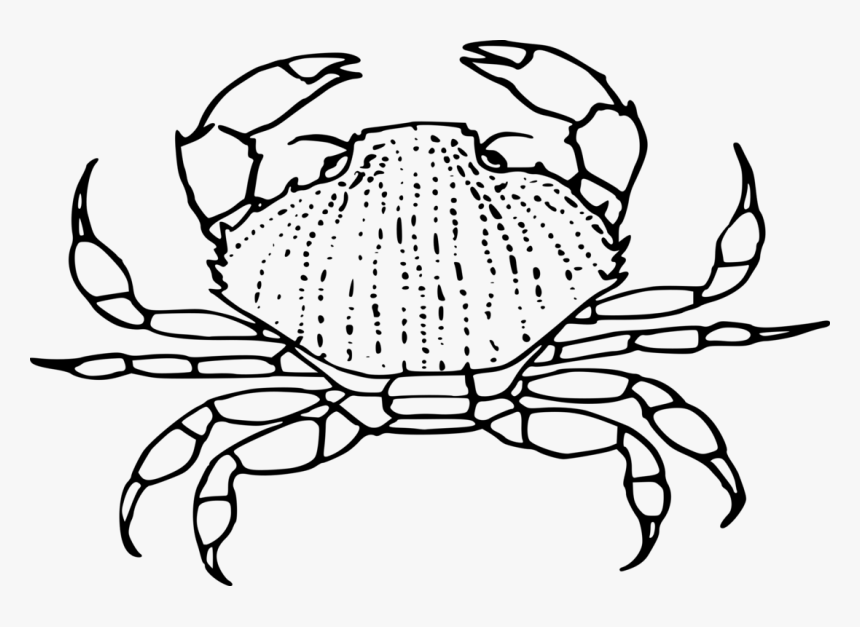 Line Art,plant,decapoda - Black And White Crab Clip Art, HD Png Download