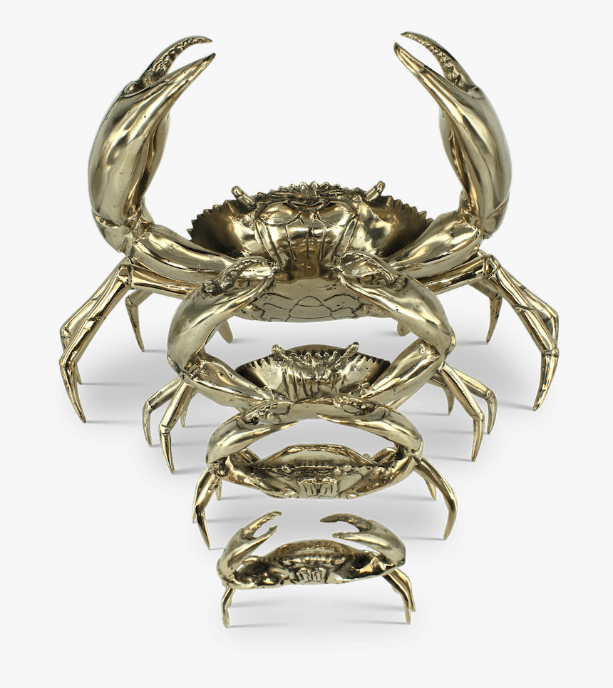 Chesapeake Blue Crab, HD Png Download