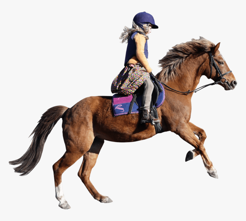 Girl Horse Png, Transparent Png
