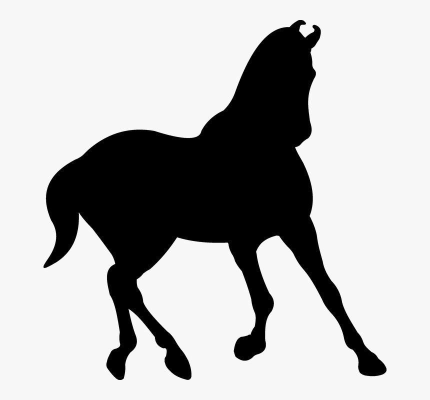 Silhouette, Saddle Horse, Black, Trot - Stallion, HD Png Download