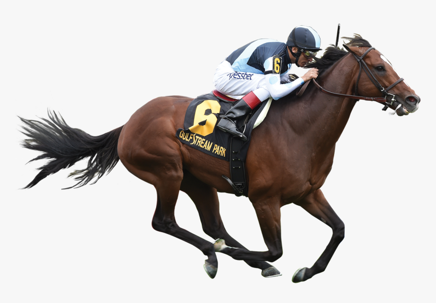 Horse Jockey Png Image - Horse With Jockey Png, Transparent Png