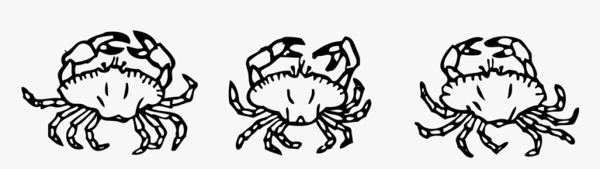 Crabs, Crustaceans, Shells, Seafood, Shellfish, Claw - Crabs Black And White, HD Png Download