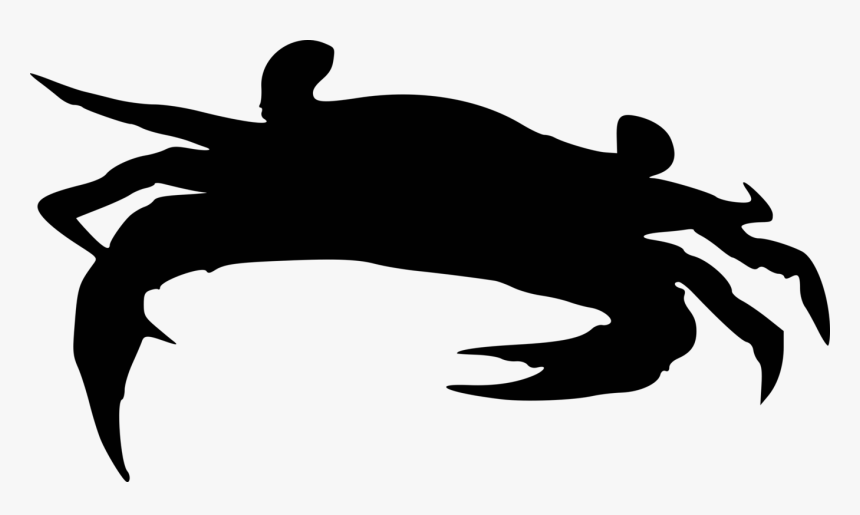 Photography - Illustration, HD Png Download