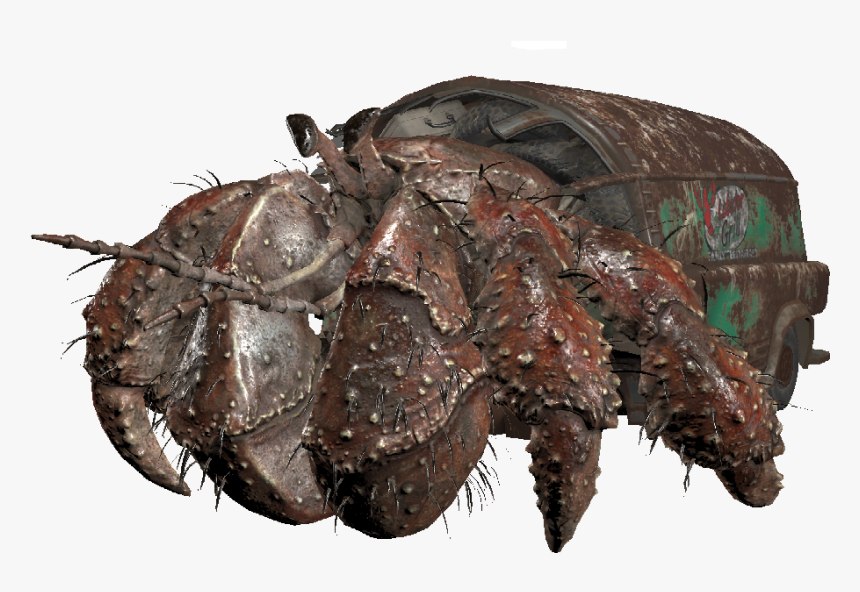 Dlc03 Enchermitcrab04 - Hermit Crab Fallout 76, HD Png Download
