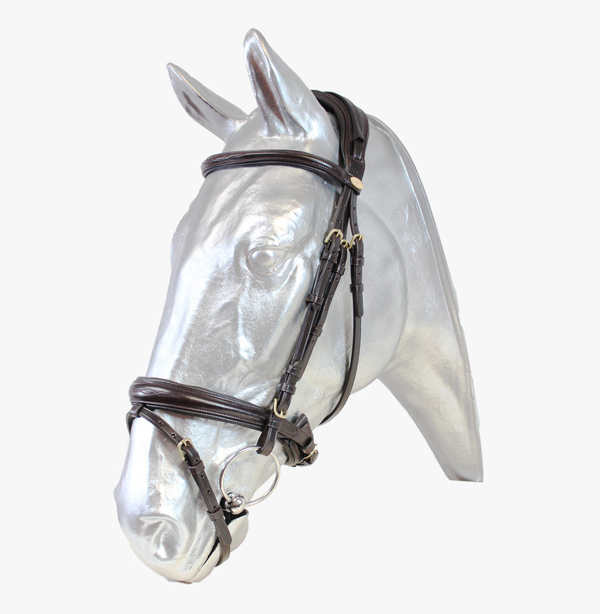 Stallion, HD Png Download