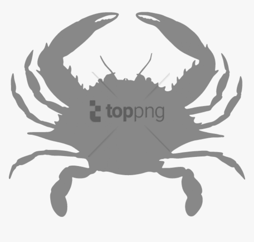 King-crab - Blue Crab Eyes, HD Png Download
