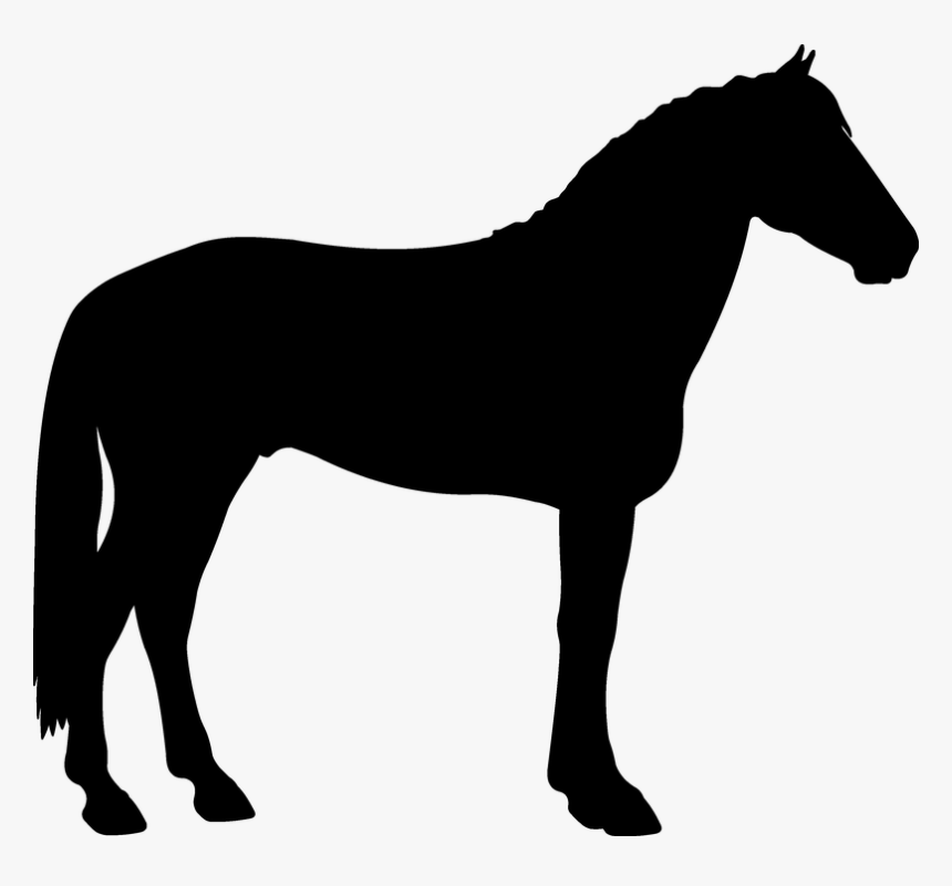 Silhouette, Saddle Horse, Black - Horse One Leg Up, HD Png Download