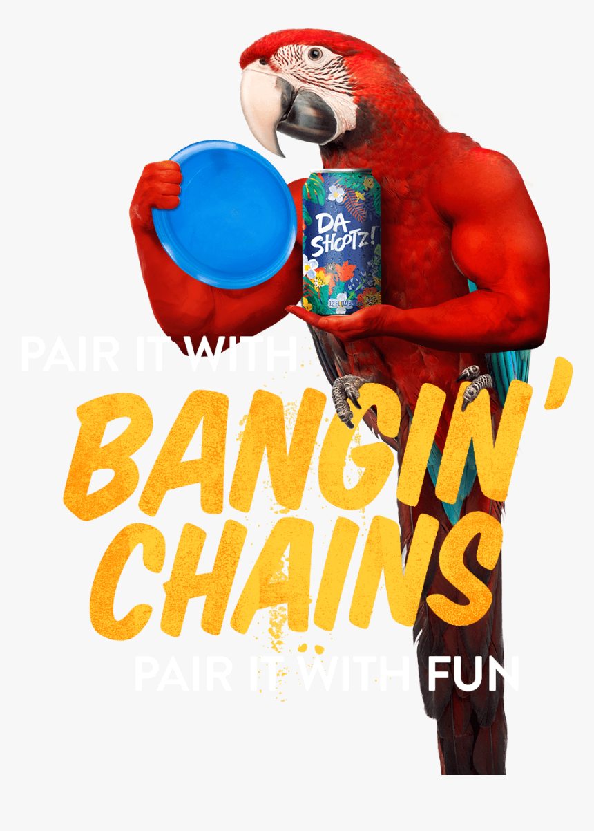 Poster, HD Png Download