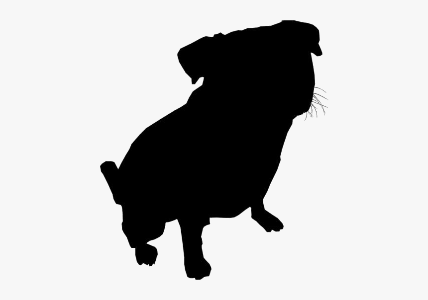 Transparent Pug Puppy Picture - Dog Licks, HD Png Download