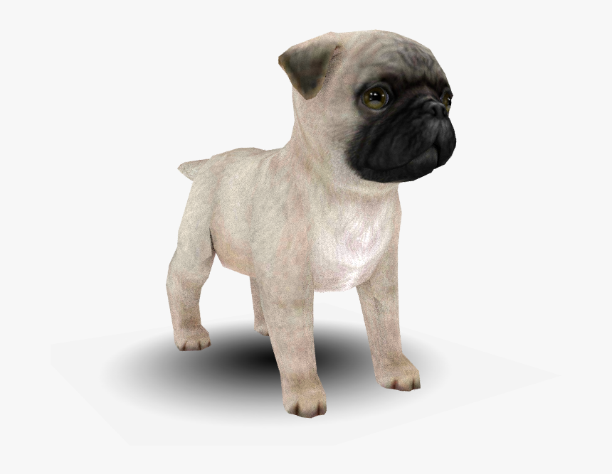 Download Zip Archive - Pug, HD Png Download
