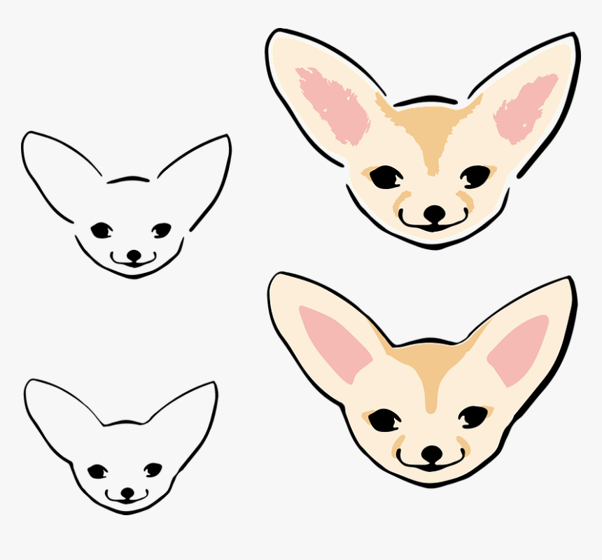 Cute, Fennek, Fox, Puppy, Design, Hand Drawn, Charming - Fennec Fox, HD Png Download
