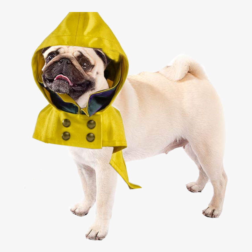 All Dog, HD Png Download