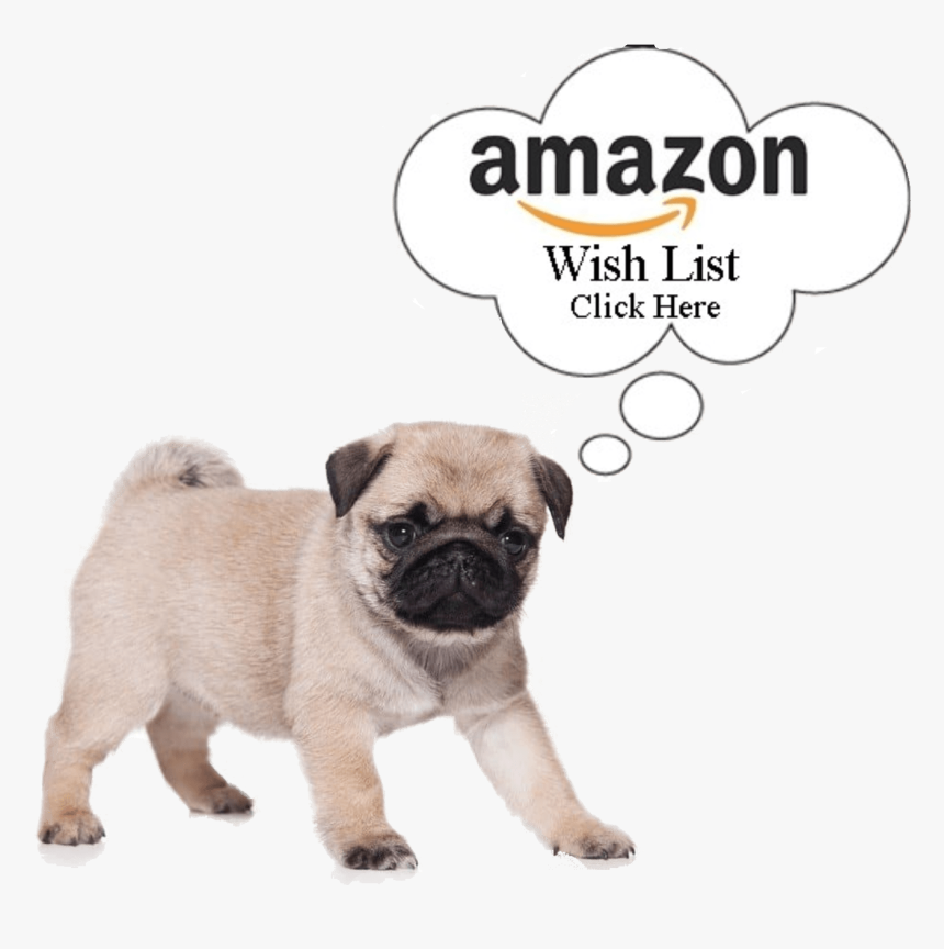 Our Amazon Wishlist - Anatomy Of A Doggo, HD Png Download