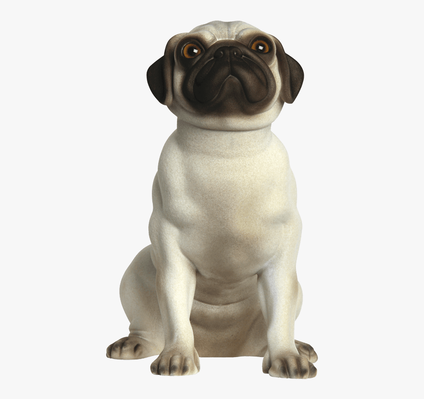 Wallacerealistic Front - Pug, HD Png Download