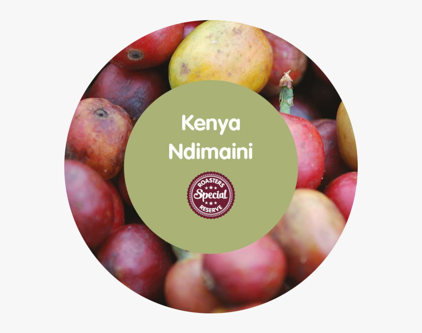 Spill The Beans - March Of Dimes, HD Png Download