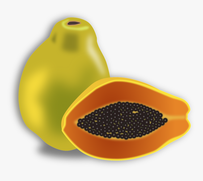 Papaya Fruits Clipart, HD Png Download