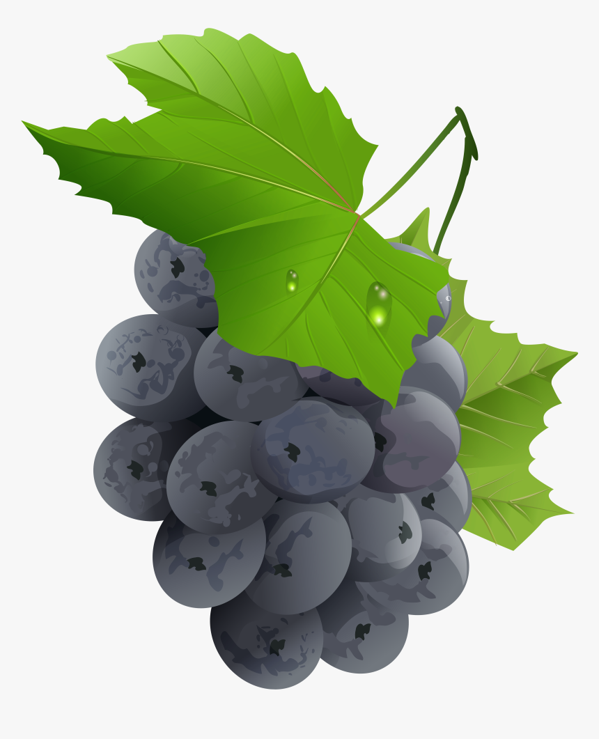 Grapes Transparent Png Clip Art Imageu200b Gallery-, Png Download