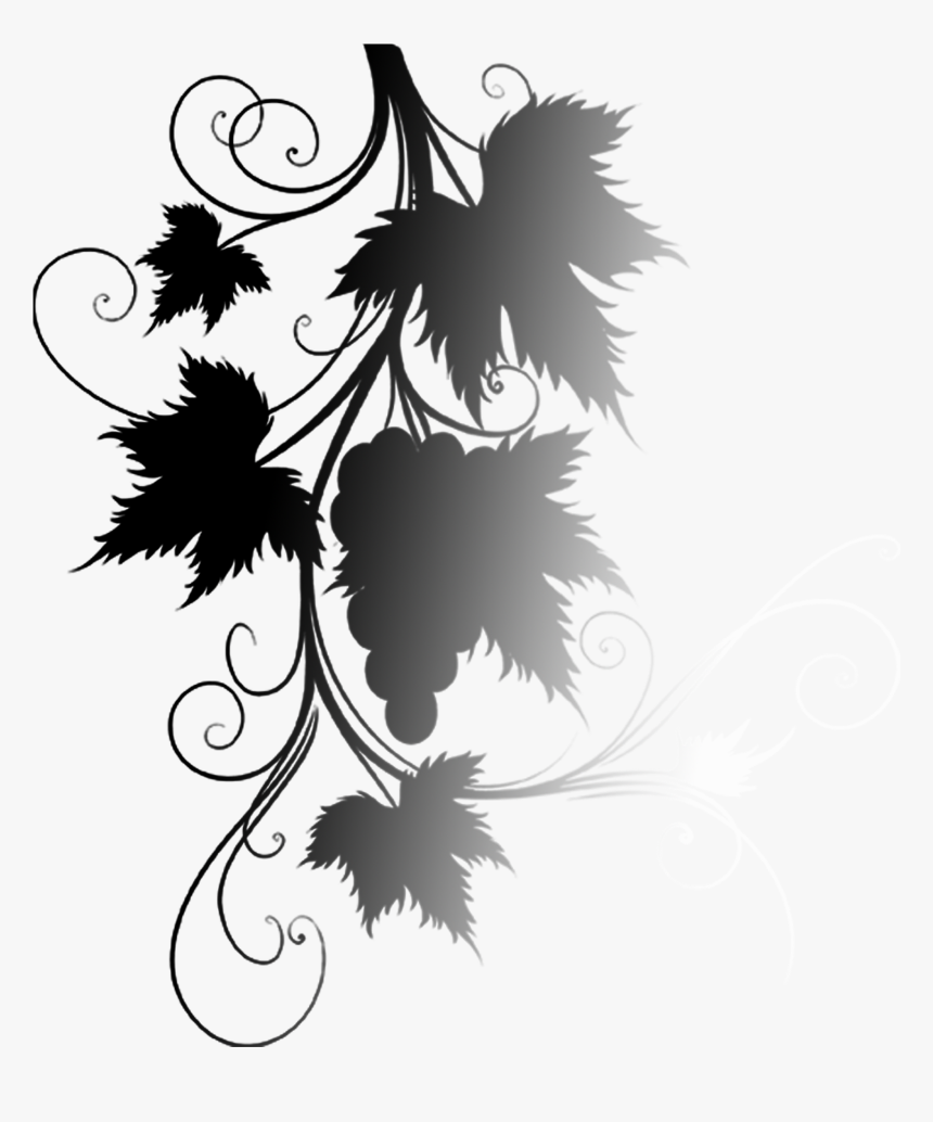 Common Grape Vine Grape Leaves - Common Grape Vine, HD Png Download