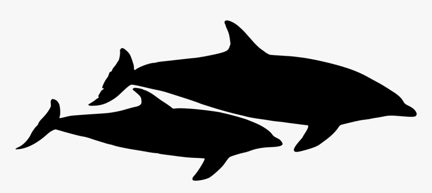 Dolphin Vector Graphic - Dolphin Vector, HD Png Download