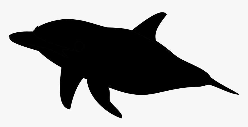 Killer Whale Clipart Silhouette - Fish Silhouette No Background, HD Png Download