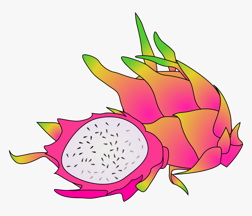 Dragon Fruit Clipart Png, Transparent Png